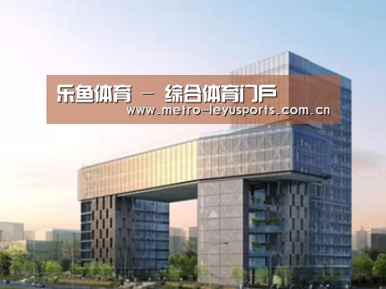 案例展示四