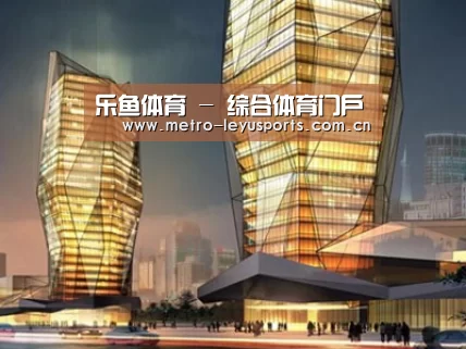 案例展示三