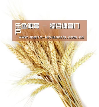 乐鱼体育 - 综合体育门户