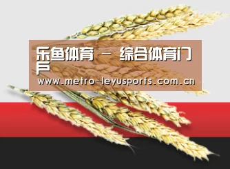 乐鱼体育 - 综合体育门户