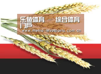 乐鱼体育 - 综合体育门户