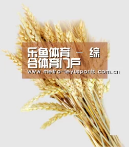 乐鱼体育 - 综合体育门户