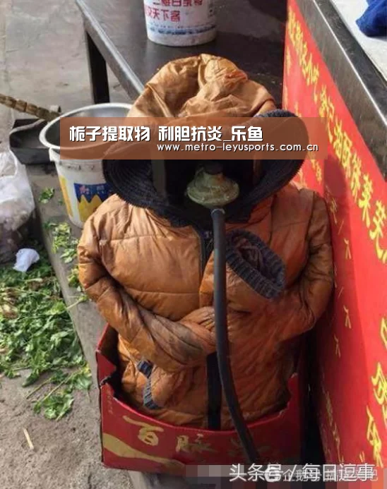 栀子提取物 利胆抗炎_乐鱼(图3) 乐鱼