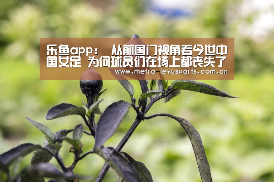 乐鱼app:
从前国门视角看今世中国女足 为何球员们在场上都丧失了自我?(图1) 乐鱼app