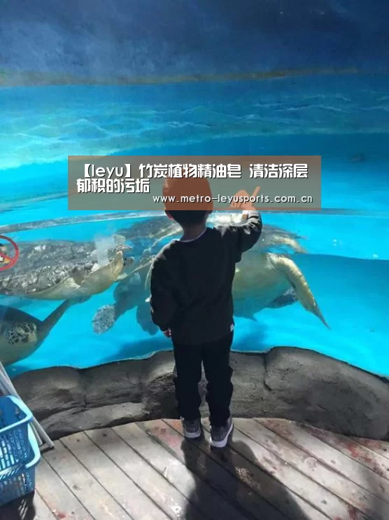 【leyu】竹炭植物精油皂 清洁深层郁积的污垢(图1) 乐鱼体育