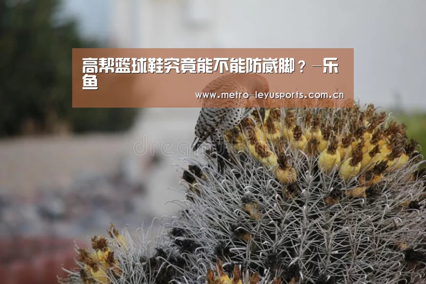 高帮篮球鞋究竟能不能防崴脚?-乐鱼(图2) 乐鱼体育
