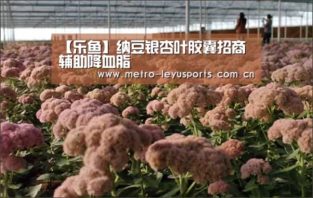 【乐鱼】纳豆银杏叶胶囊招商 辅助降血脂(图2) 乐鱼app